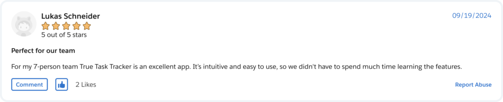 True Task Tracker review on Salesforce AppExchange, customer review 3